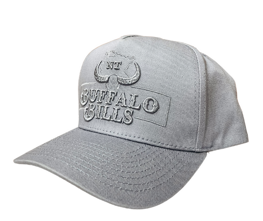 BBWS - Light Grey NT Logo Full Fabric Cap