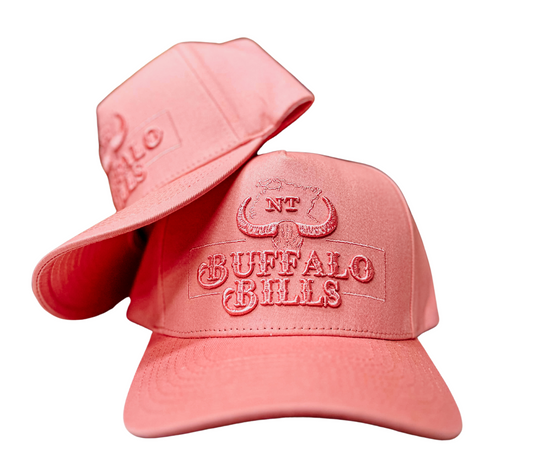 BBWS - Light Pink NT Logo Full Fabric Cap