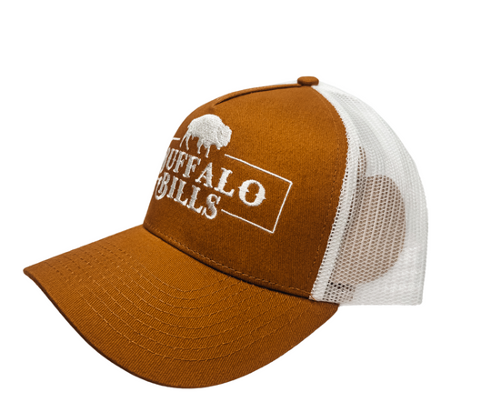 BBWS - Tan QLD Logo Low Profile Cap