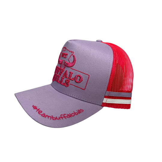 BBWS - NT 3D Logo Lavender/Pink Trucker Cap