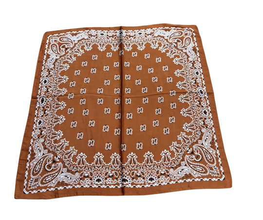 Wild Rag - Rust Paisley Medium