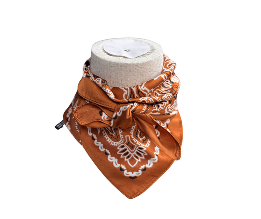 Wild Rag - Rust Paisley Medium