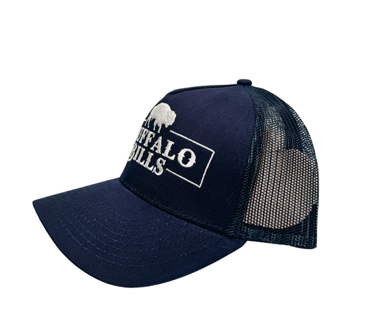 BBWS - Navy QLD Logo Low Profile Cap