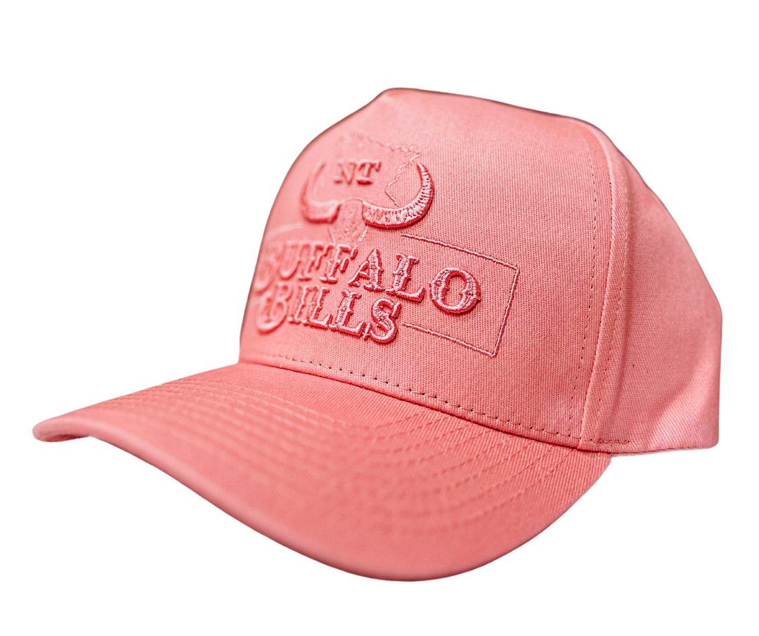 BBWS - Light Pink NT Logo Full Fabric Cap