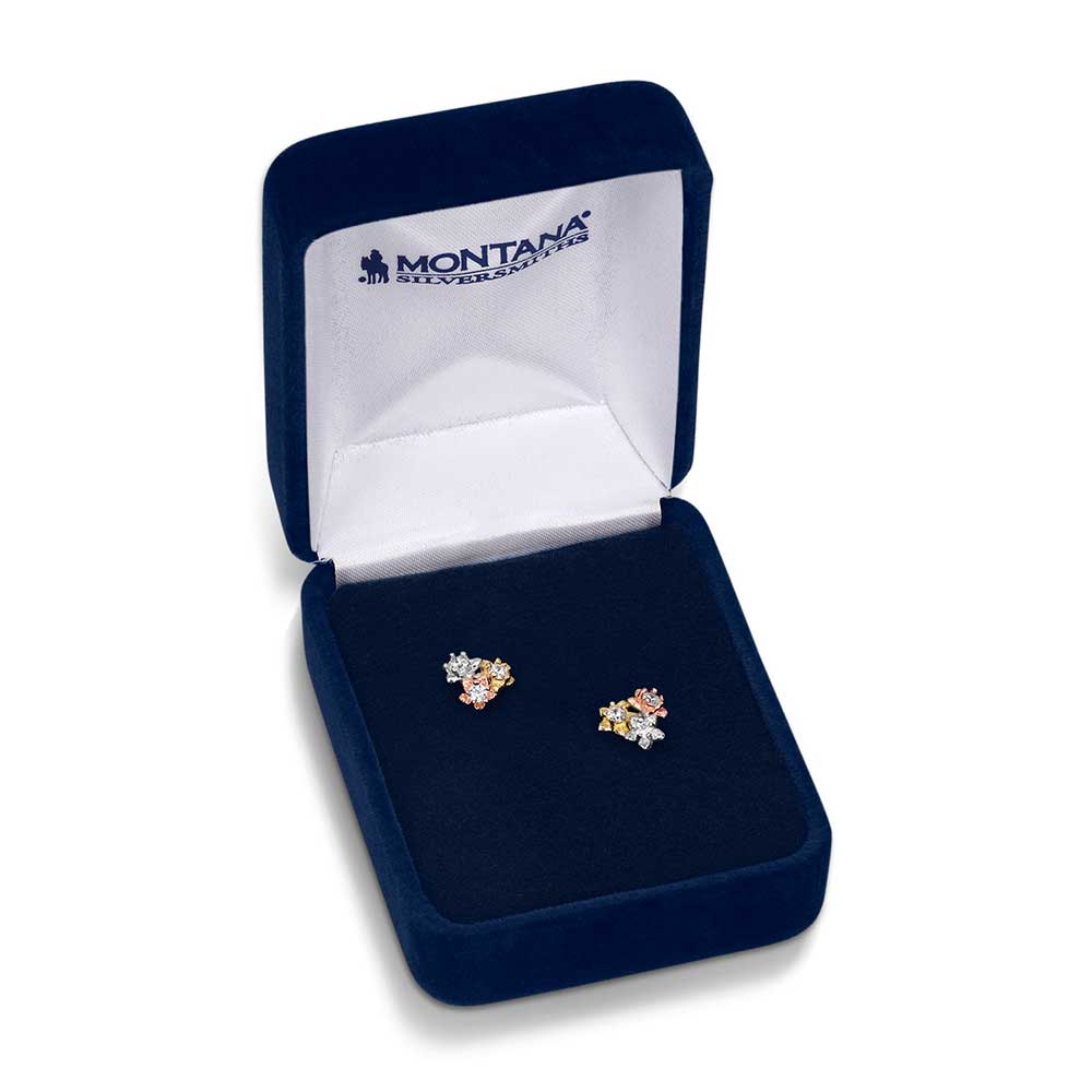 Montana Silversmith - Wild Flower Meadow Earrings