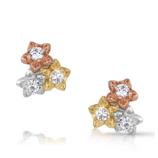 Montana Silversmith - Wild Flower Meadow Earrings