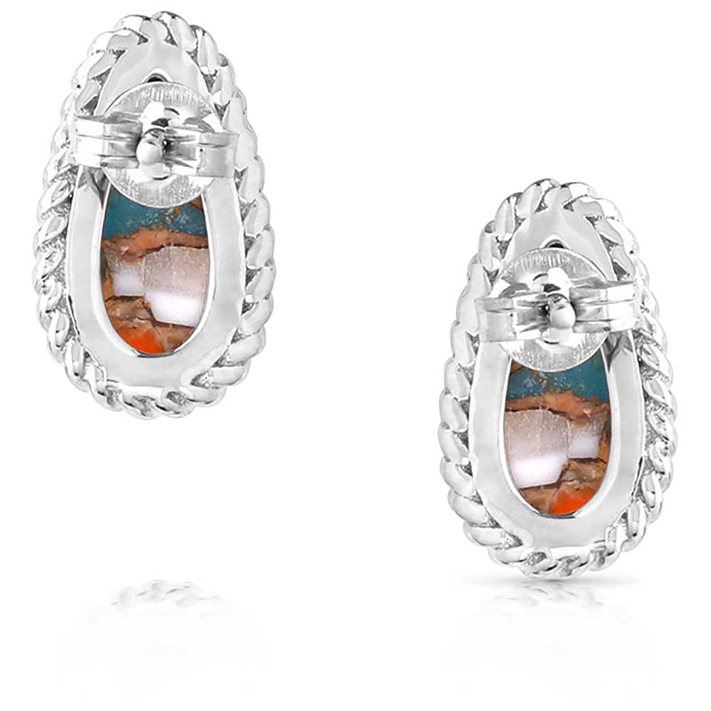 Montana Silversmith - Mountain Glacier Treasures Earrings