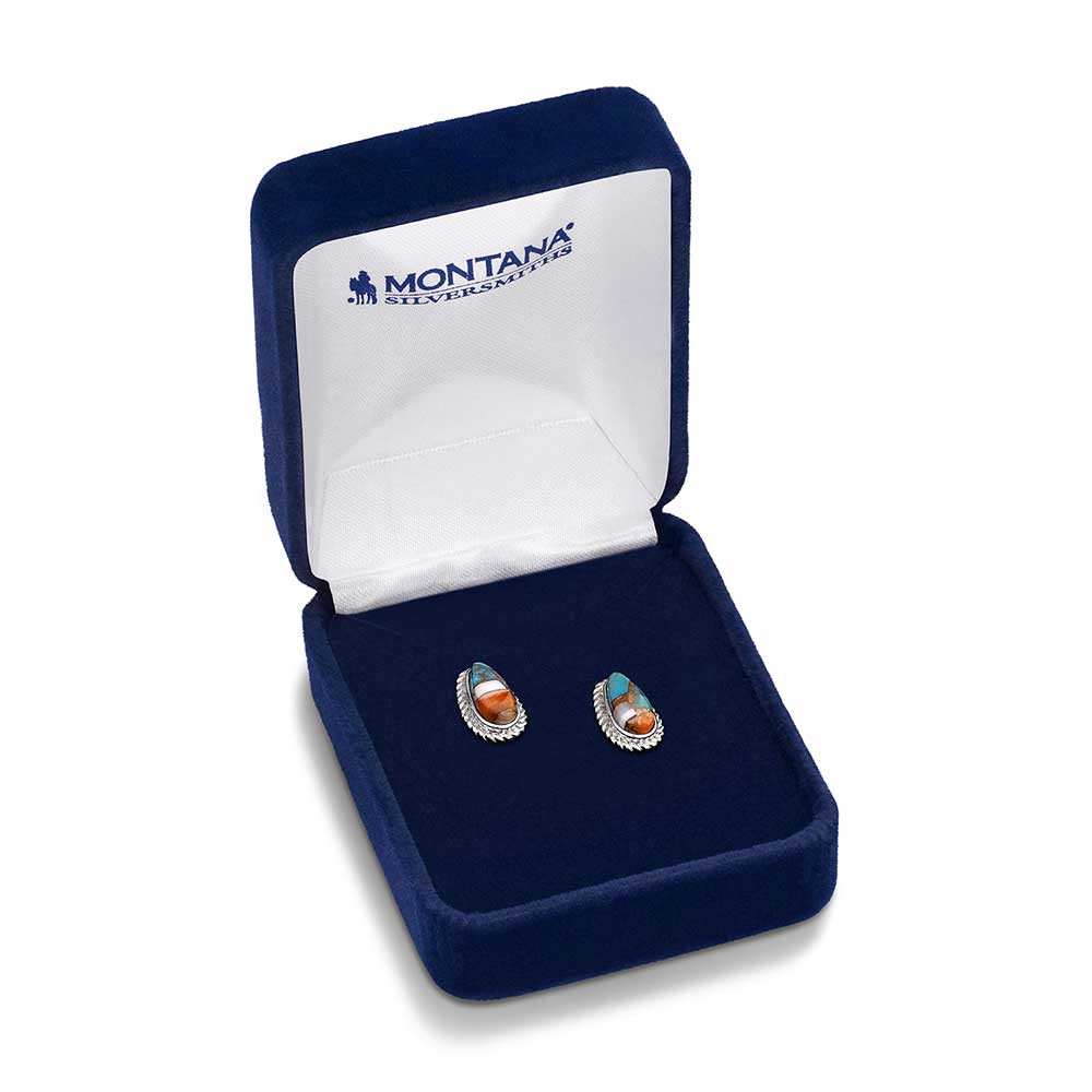Montana Silversmith - Mountain Glacier Treasures Earrings