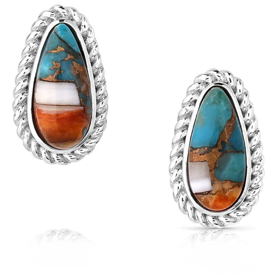 Montana Silversmith - Mountain Glacier Treasures Earrings