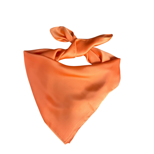 Wild Rag - Solid Orange Medium