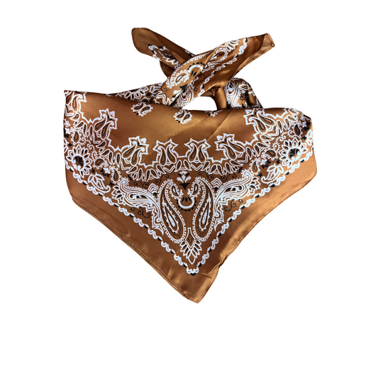 Wild Rag - Rust Paisley Medium