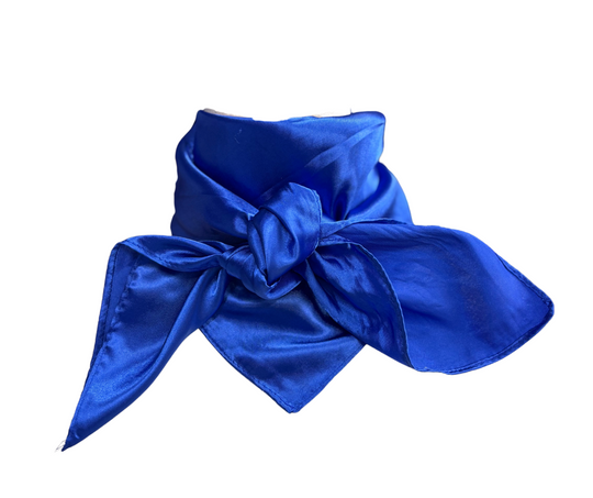 Dixie Blue Rag Wild Rag - The Tropical Lady at Buffalo Bills Western – Buffalo Bills ...
