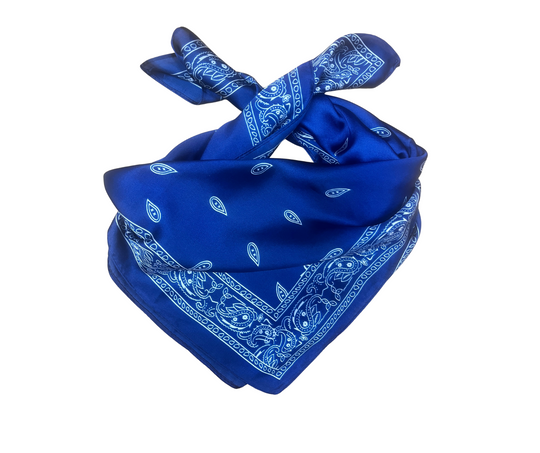 Wild Rag - Navy Paisley Medium
