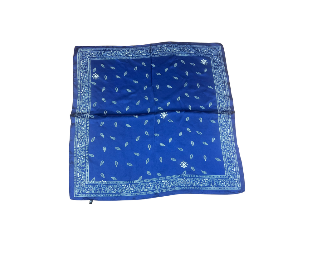 Wild Rag - Navy Paisley Medium