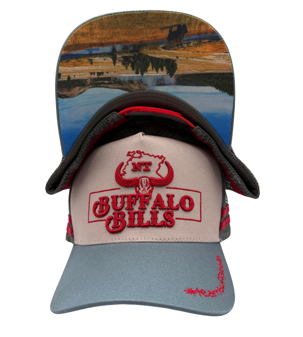 BBWS - NT 3D Logo Grey Two Tone Trucker Cap