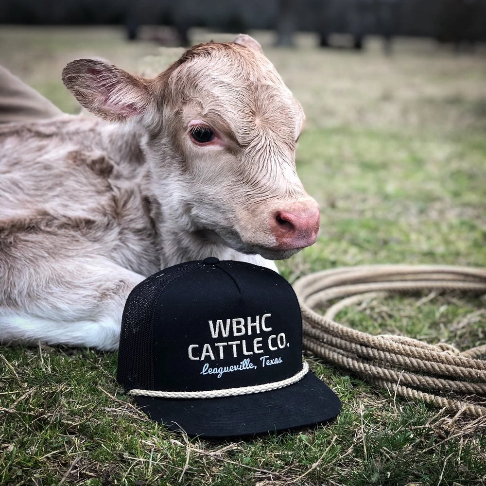 Whiskey Bent - Black Gold Cap
